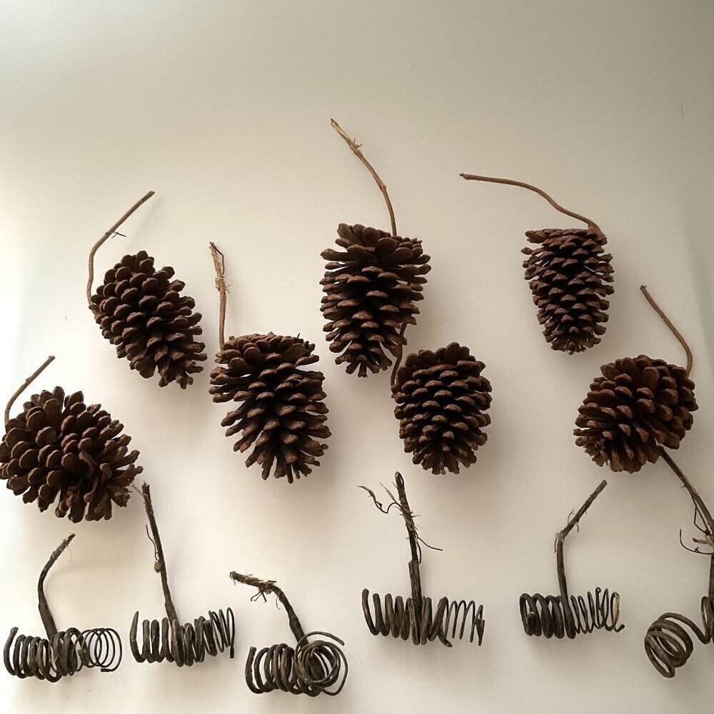 DIY PINE CONES AND CURLY TWIGS 13 COUNT